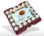 Années 30 oeufs en fibre moulée 